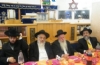 הילולה הלילה