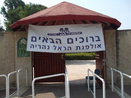    2011